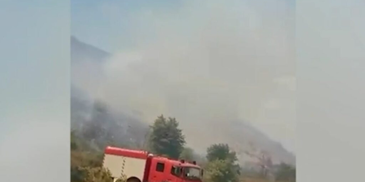 Zjarri dogji 8 hektarë bimësi, arrestohet 25-vjeçari në Konispol