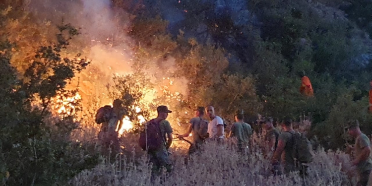 Lufta e humbur me zjarret që po djegin Shqipërinë, vetëm 21 mln euro buxhet për 61 bashki!