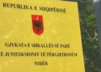 Plagosi nënën disa herë me thikë në Dibër, Gjykata vendos shtrim në spital psikiatrik për autorin