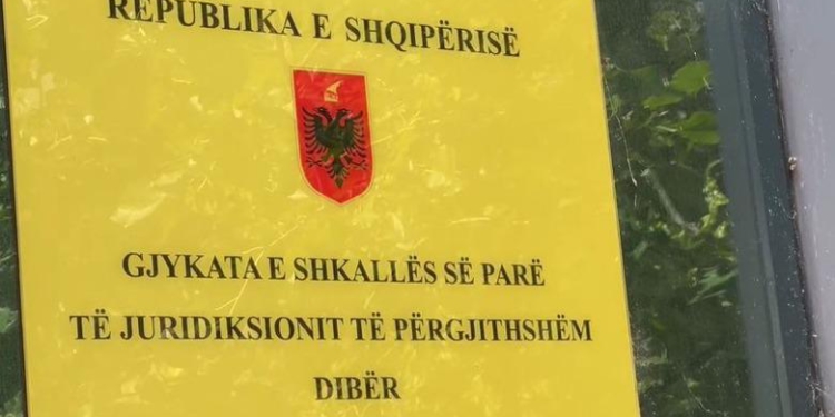 Plagosi nënën disa herë me thikë në Dibër, Gjykata vendos shtrim në spital psikiatrik për autorin