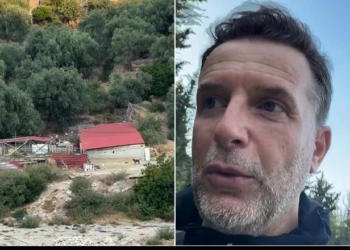 Braçe: Me lekët e censusit të bujqësisë të blihen bagëti, stanet janë bosh! TVSH të barazohet për tregun e brendshëm