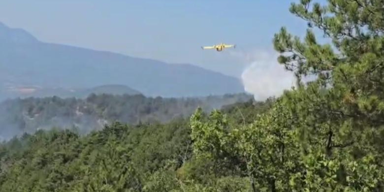 Vihet nën kontroll zjarri në Mirditë, digjen dhjetëra hektarë pisha