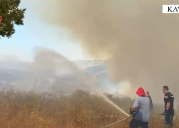 Vendosën zjarre në Peqinaj dhe Zhabjak, arrestohen 3 autorët, u dogjën pemë dhe një banesë