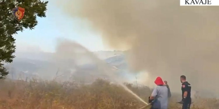 Vendosën zjarre në Peqinaj dhe Zhabjak, arrestohen 3 autorët, u dogjën pemë dhe një banesë