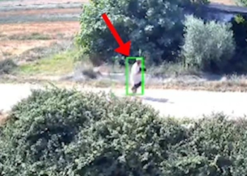 I vunë flakën Shqipërisë, arrestohen 8 piromanë  