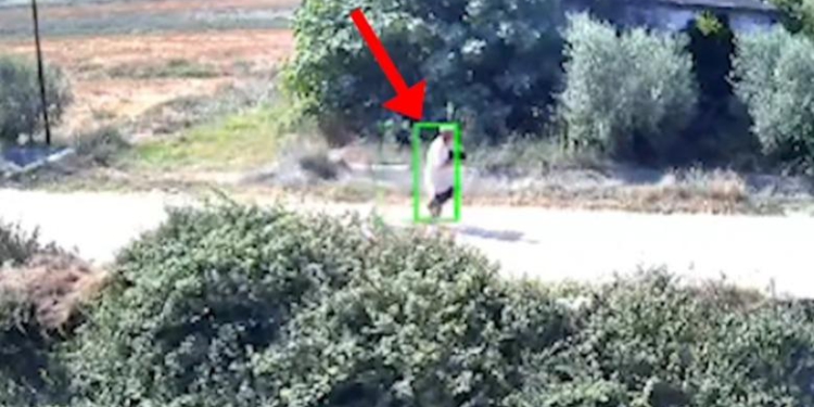 I vunë flakën Shqipërisë, arrestohen 8 piromanë