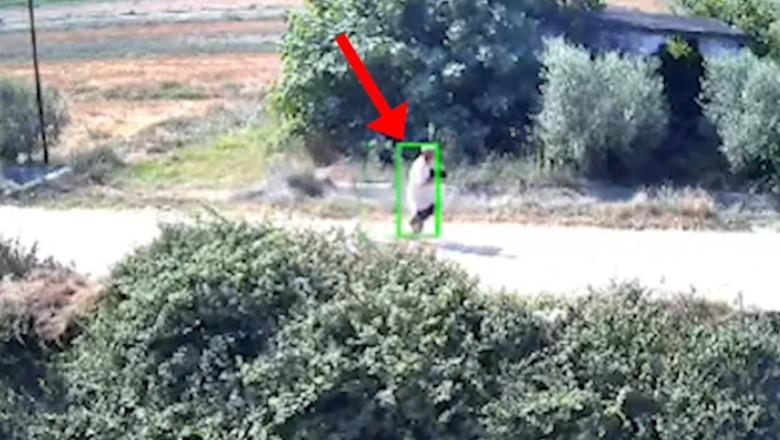 I vunë flakën Shqipërisë, arrestohen 8 piromanë  
