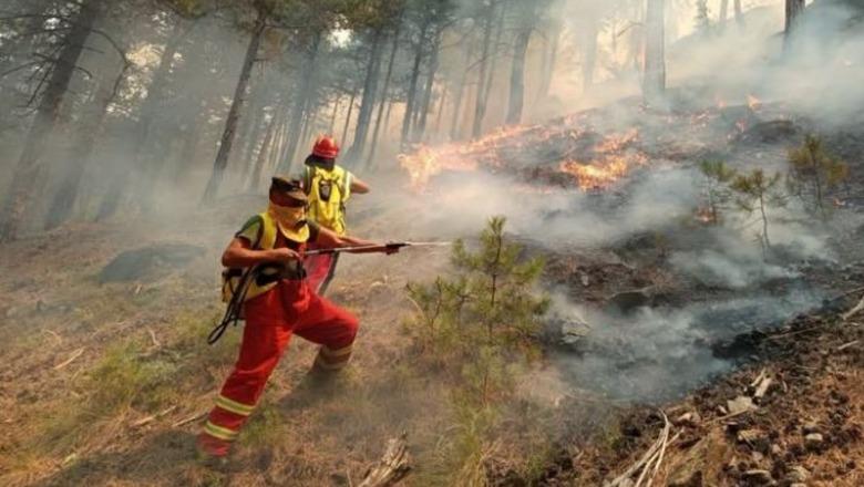 Zjarret në fshatrat e Vlorës, Ministria e Mbrojtjes: Janë ndezur nga një grup i strukturuar kriminal