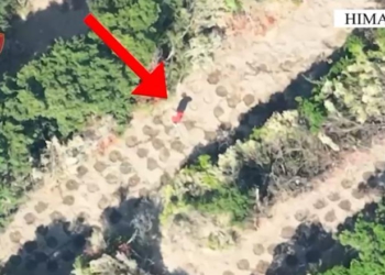‘Droni’ kap kultivuesit e parcelës me kanabis mes Lukovës dhe Shën Vasilit, në pranga 2 persona