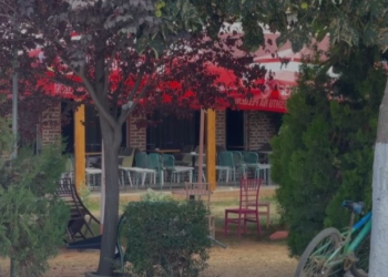 Vrasja në Maliq/ Djali dhe babai në burg, familja e autorit largohet nga banesa për arsye sigurie! 