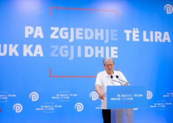 Berisha akuzon: Zjarret krim shtetëror, Rama përgjegjësi