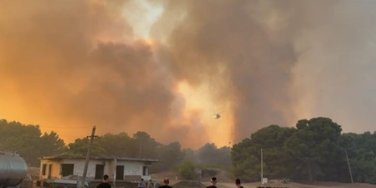 Pamje apokaliptike nga Vlora, helikopteri lufton me flakët në pyllin e Poros