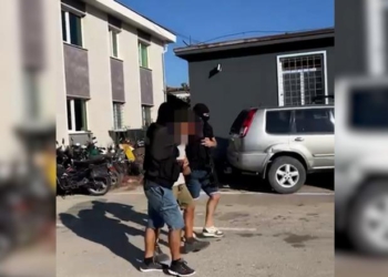 Italia i kishte dënuar me 12 vite burg për organizatë kriminale dhe trafik droge, arrestohen në Divjakë 2 vëllezërit