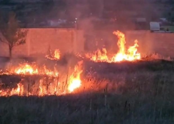 Zjarr në fshatin Kodër Lumë, ndërhyrja e banorëve dhe zjarrfikësve shmang rrezikun për banesat