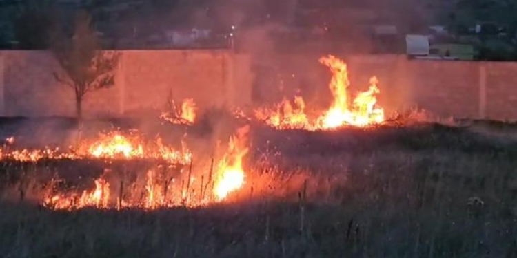 Zjarr në fshatin Kodër Lumë, ndërhyrja e banorëve dhe zjarrfikësve shmang rrezikun për banesat