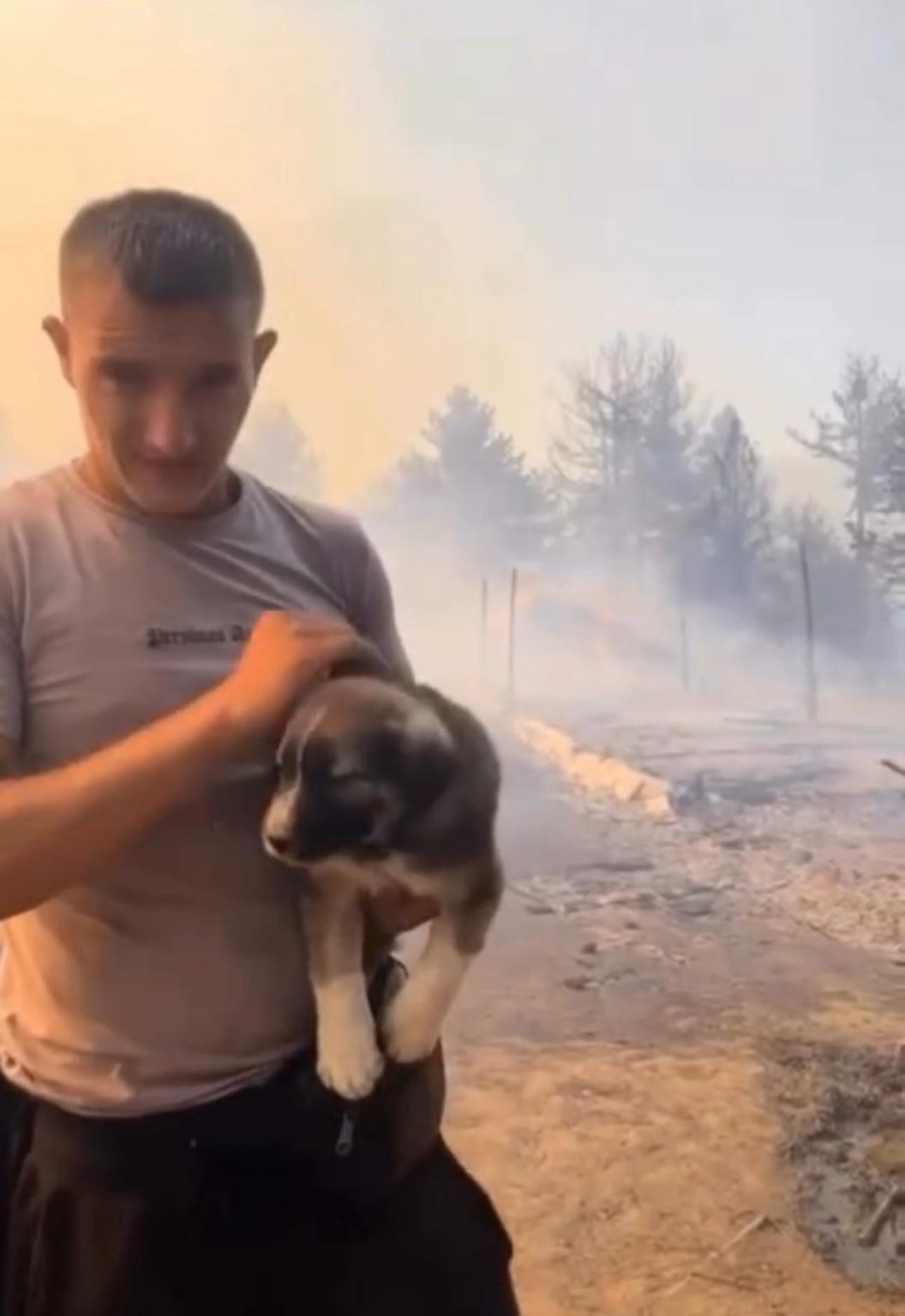 “Respekt”, Rama shpërndan foton e të riut duke shpëtuar një qen nga zjarri