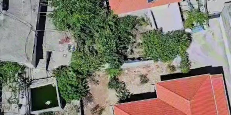 Mbolli kanabis në oborrin e banesës në Lazarat, në pranga 55-vjeçari
