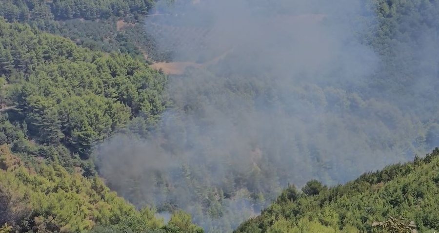 3 vatra zjarri aktive në masivin pyjor në Mallakastër, kryebashkiaku apel për ndërhyrje nga ajri