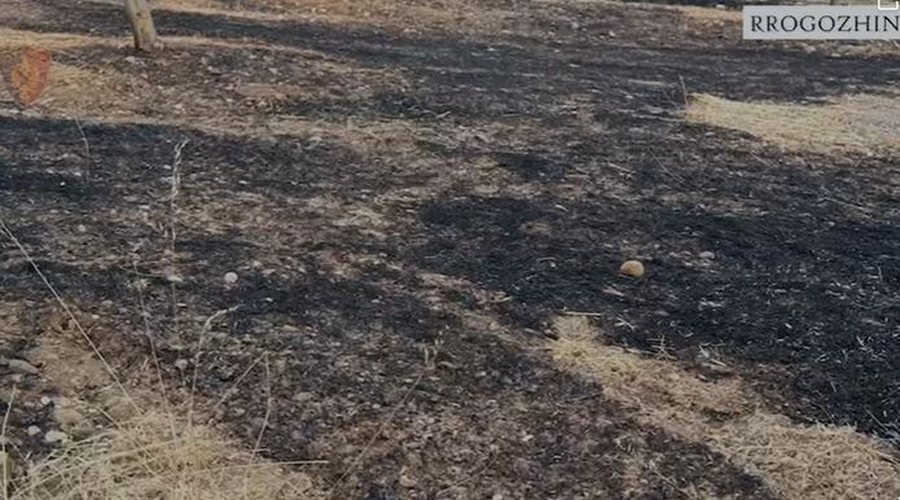Dogji një sipërfaqe të madhe me pemë, arrestohet autori i zjarrvënies në Rrogozhinë