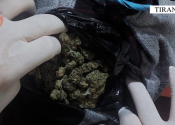 Trafikuan kanabis me përqindje të lartë THC, arrestohen dy të mitur në Tiranë