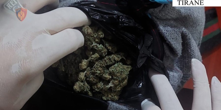 Trafikuan kanabis me përqindje të lartë THC, arrestohen dy të mitur në Tiranë