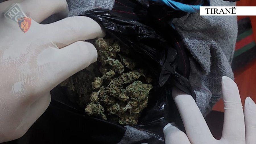 Trafikuan kanabis me përqindje të lartë THC, arrestohen dy të mitur në Tiranë