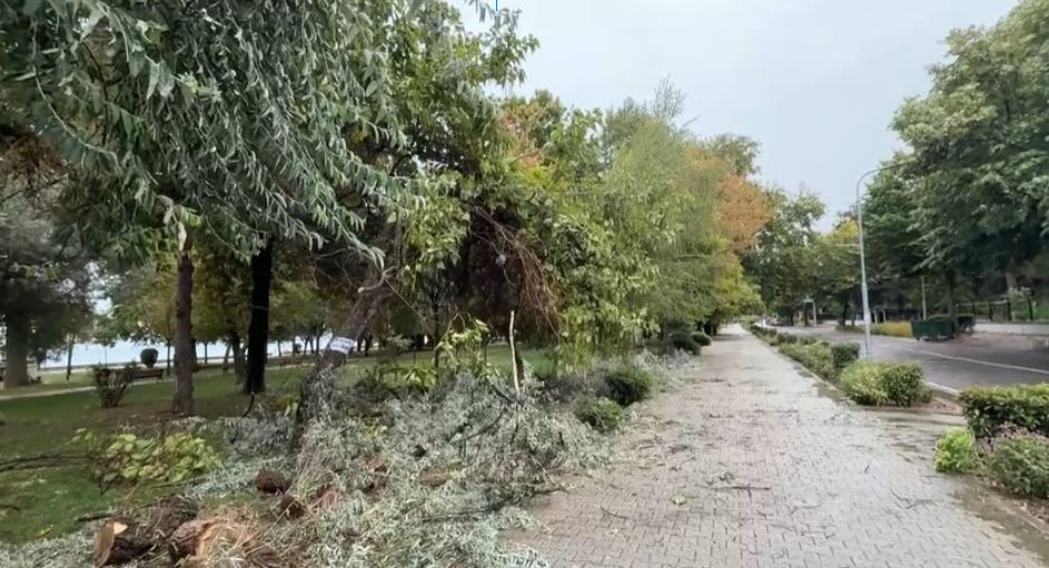 Pemë të thyera, e tenda të rrëzuara, pasojat e stuhisë në Pogradec
