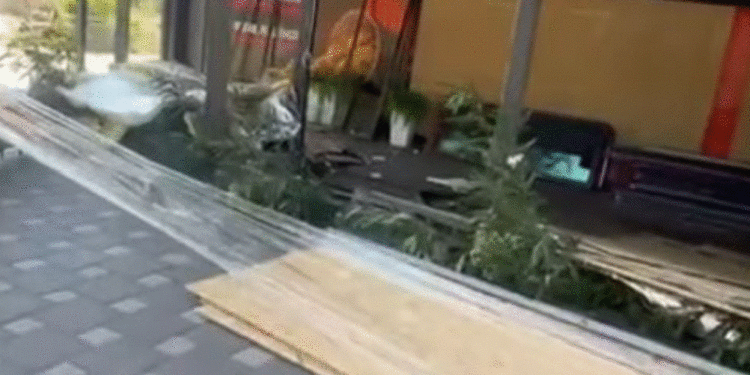 Aksioni për çlirimin e hapësirave publike, Rama: Vazhdojmë, papushim