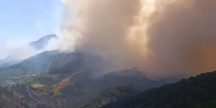 Nga inati i fqinjit i vuri zjarrin fshatit, dogji veten dhe plagosi 8 banorë! Detaje nga zjarri në Gramsh