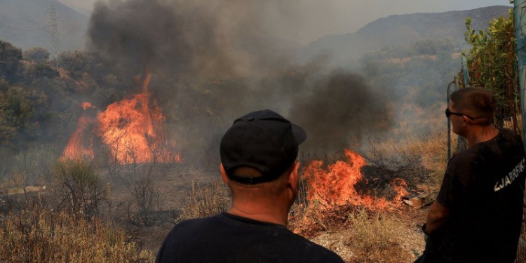 Bilanci pas katastrofës: Zjarri në Delvinë dogji një sipërfaqe prej 40 km2, dëme në banesa, ullishta, bujqësi