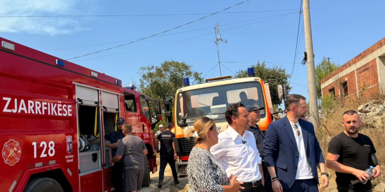 Zjarret në Tiranë, nënkryetari i Bashkisë: Kush kryen veprime të qëllimshme, përballet me ligjin