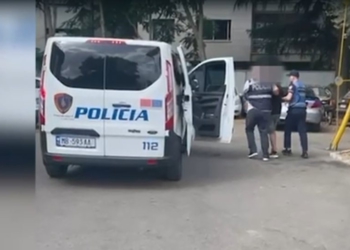 Dy persona në pranga për zjarret në Qarkun Fier, njëri pengoi edhe zjarrfikësit