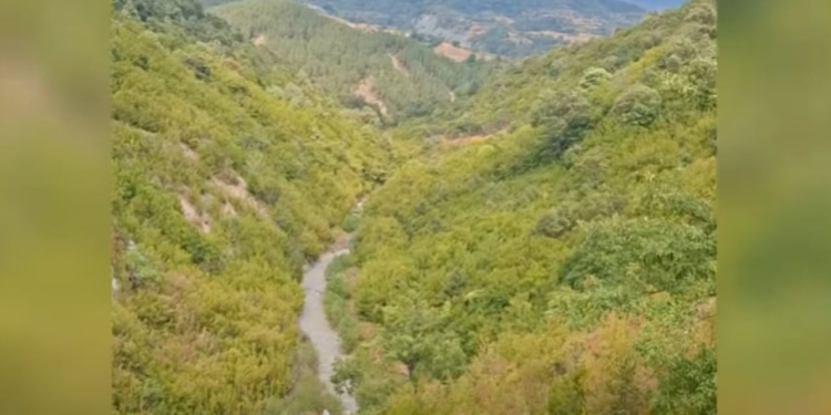 Doli për të kërkuar qenin që i ruante bagëtitë, ende asnjë gjurmë nga 56-vjeçari në Elbasan