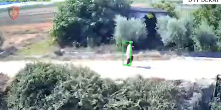 VIDEO / Katër të arrestuar për flakët në Berat, kamerat filmojnë një prej zjarrvënësve