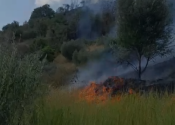 Zjarr masiv në Cërrik, rrezikohen banesat, bizneset dhe dhjetëra hektarë tokë. Dyshohet i qëllimshëm