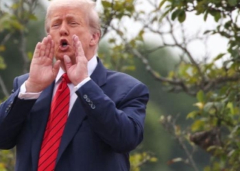Gazetarët e pyesin se çfarë po bënte në majë të çatisë së Shtëpisë së Bardhë, Trump: Do vendos raketa bërthamore!