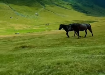 Mes natyrës dhe kuajve, Rama thotë “mirëmëngjes” me pamjet nga Bjeshkët e Dobërdolit