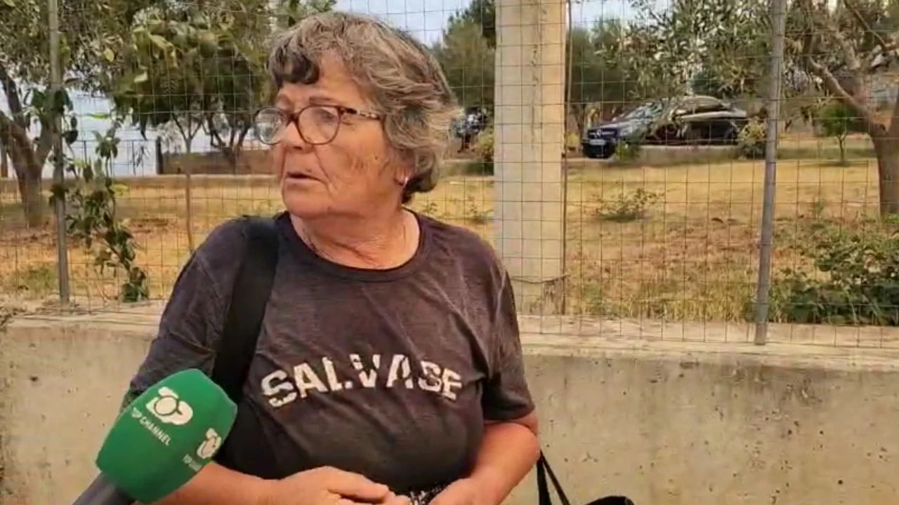 VIDEO / “Punova kot 70 vite, ç’e dua jetën…”, flakët arrijnë Nartë, gruaja lë banesën me lot në sy