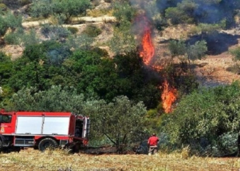Greqia e shkrumbuar pas zjarreve masive! Dëme të shumta në shtëpi, biznese dhe automjete