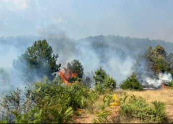 Përmirësohet situata në Gramsh, vetëm 1 vatër aktive. Më 18 gusht ngrihen grupet e punës për dëmet
