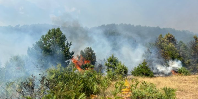 Përmirësohet situata në Gramsh, vetëm 1 vatër aktive. Më 18 gusht ngrihen grupet e punës për dëmet