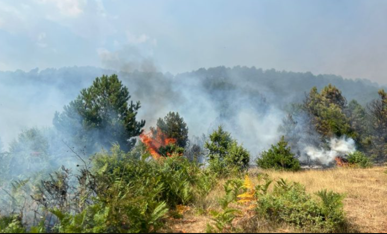 Përmirësohet situata në Gramsh, vetëm 1 vatër aktive. Më 18 gusht ngrihen grupet e punës për dëmet