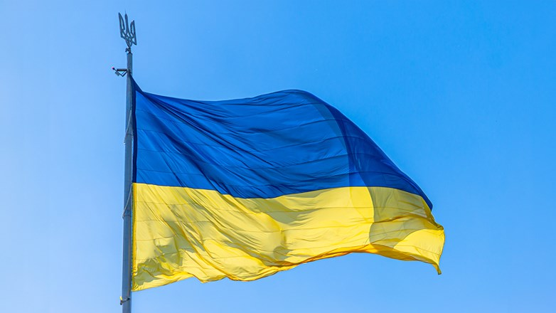 Ushtria dhe aleatët në gatishmëri, strategjia për sigurinë e Ukrainës