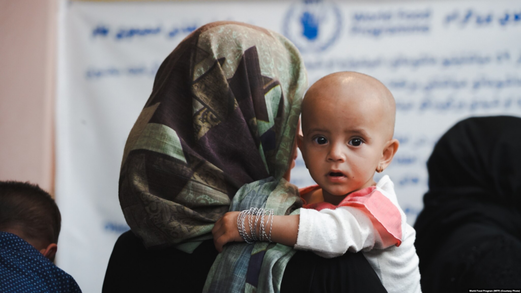 Kabuli në prag urie/ Banorët luten për oriz dhe “janë gati të pranojnë vdekjen”