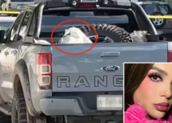 Tronditet Meksika! Trupat e një influencueseje dhe familjes së saj gjenden brenda një kamioni, lidhjet me kartelat e drogës