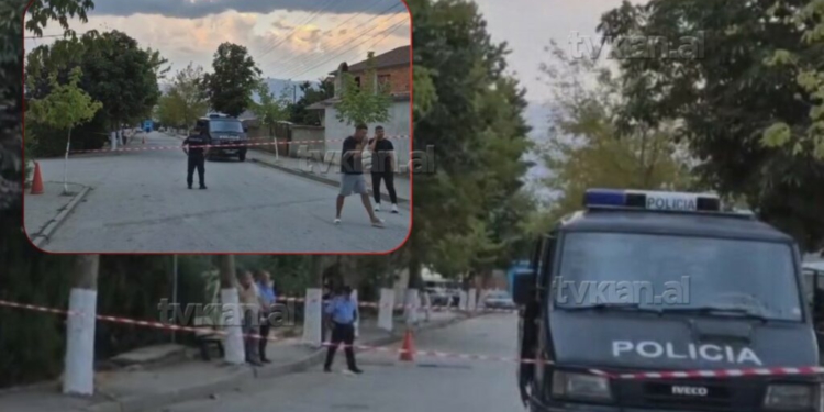 DETAJE / Si përfundoi në tragjedi sherri mes 14-vjeçarëve në Maliq