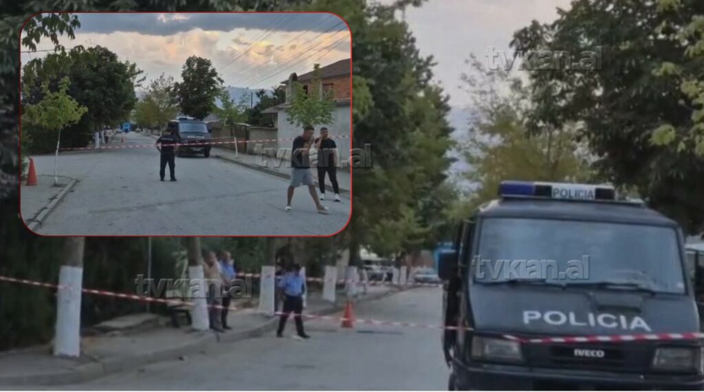 DETAJE / Si përfundoi në tragjedi sherri mes 14-vjeçarëve në Maliq