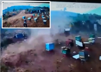 Pamje të frikshme! Pak para zjarrit të madh, në Delvinë u shfaq një tornado, fenomeni natyror shkatërron kosheret e bletëve
