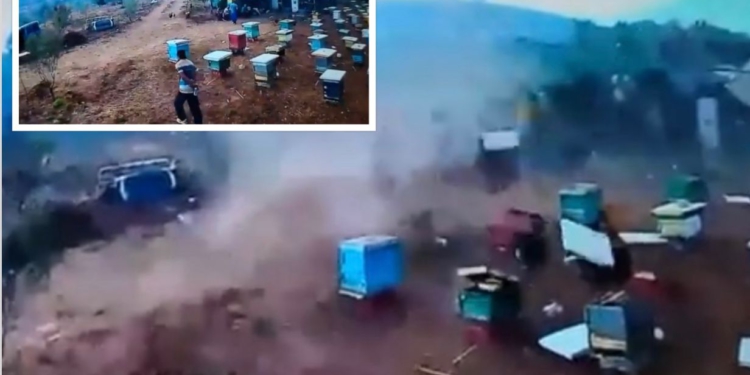 Pamje të frikshme! Pak para zjarrit të madh, në Delvinë u shfaq një tornado, fenomeni natyror shkatërron kosheret e bletëve
