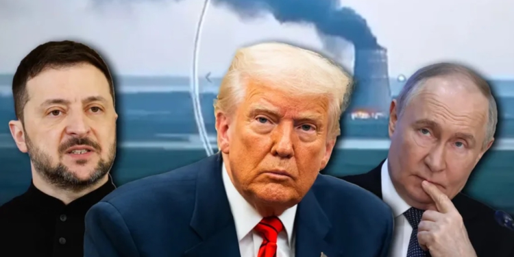 Ukrainën lindore në këmbim të paqes, ja çfarë kërkon Putini nga Trump